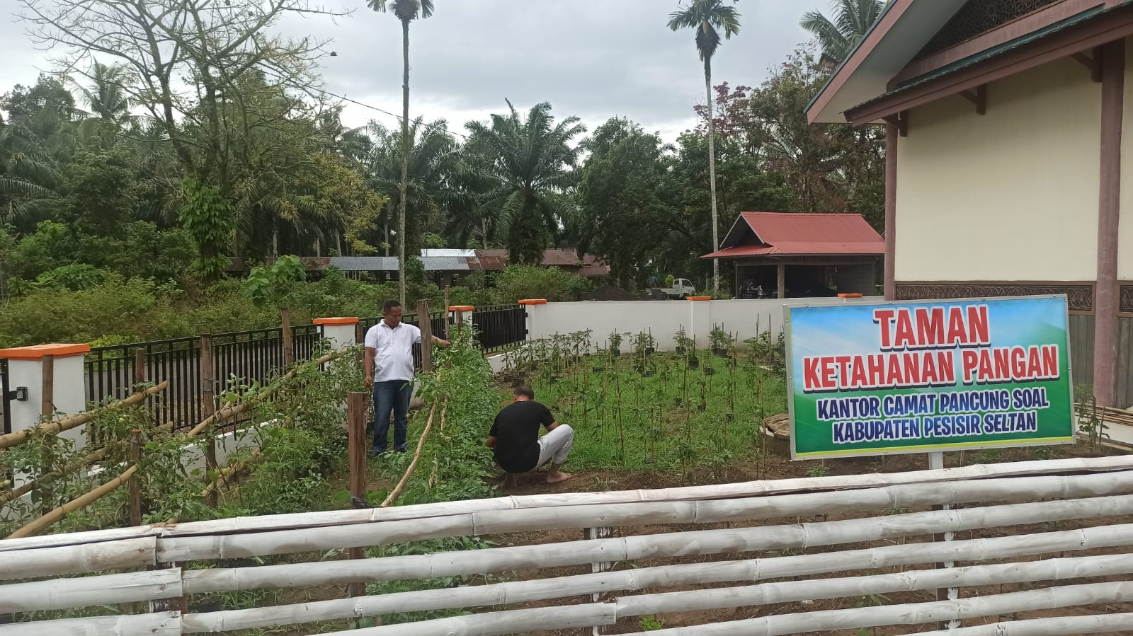 Goro Membersihkan Taman Ketahanan Pangan 