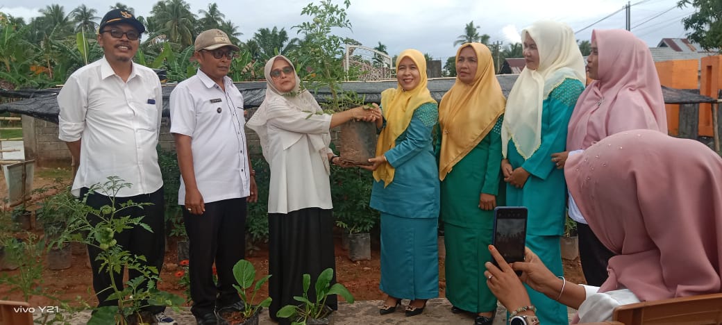 Penyerahan Bibit Tanaman  Dari Wali Nagari Inderapura Tengah Kepada TP-PKK Kecamatan Pancung Soal