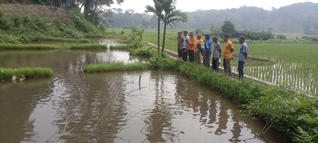 Peninjauan Kolam Ikan Masyarakat Sei Gemuruh 