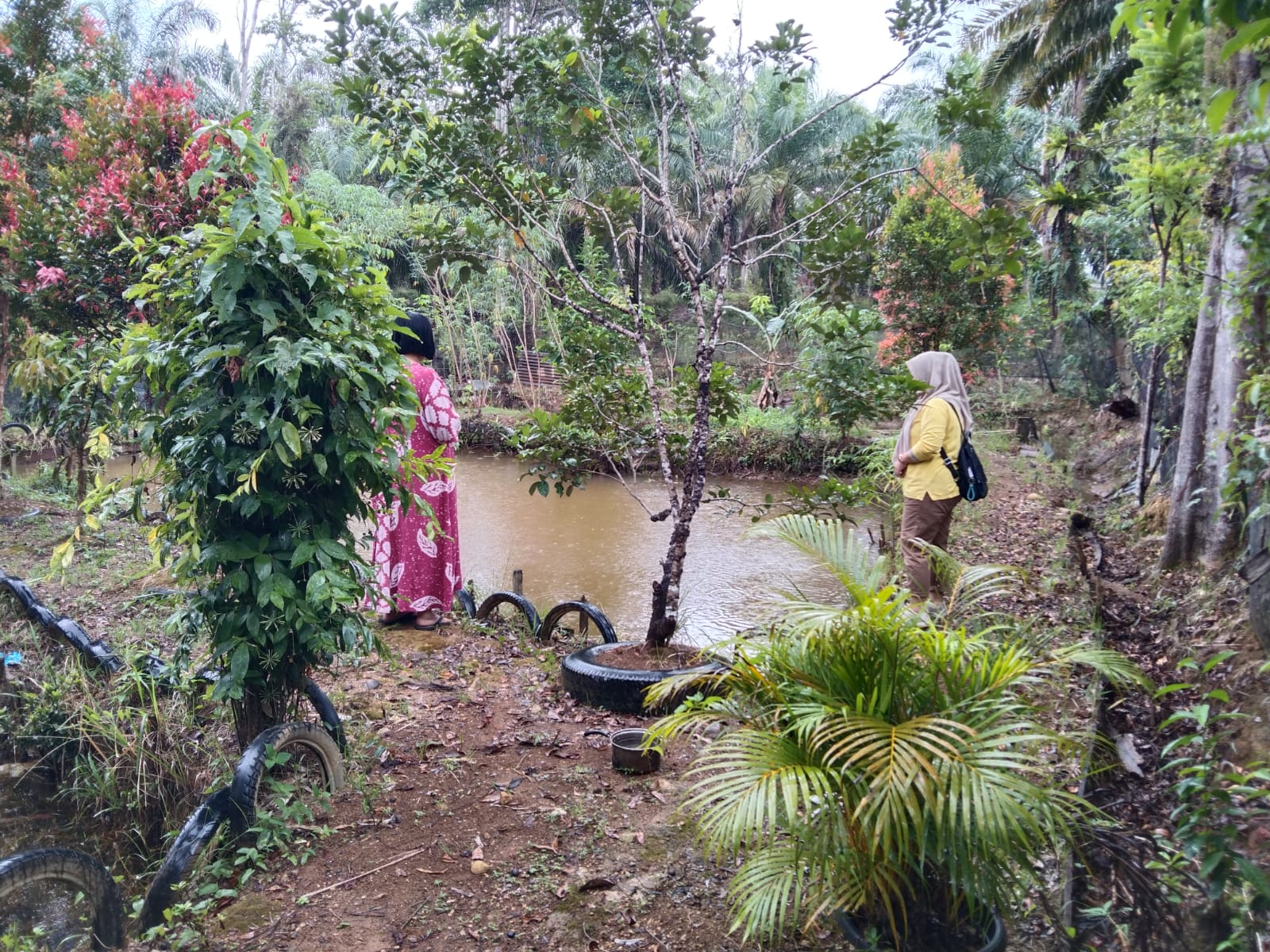 Survey Kegiatan Pakan Ternak dan Perikanan di Nagari Tigo Sungai Inderapura